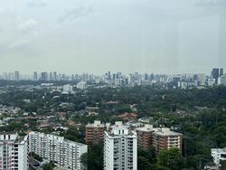 D'Leedon (D10), Condominium #519514121